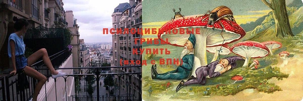 PSILOCYBIN Одинцово