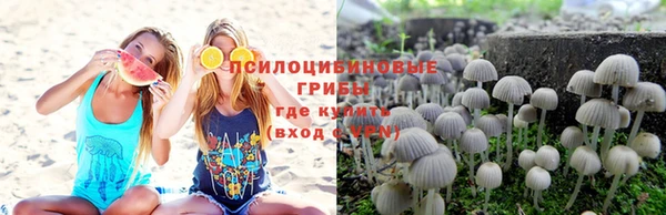 трава Нефтекумск