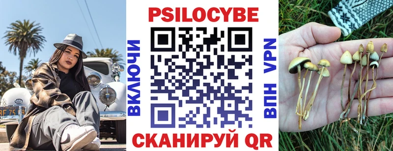 Галлюциногенные грибы Psilocybe  нарко площадка как зайти  Западная Двина  закладки 