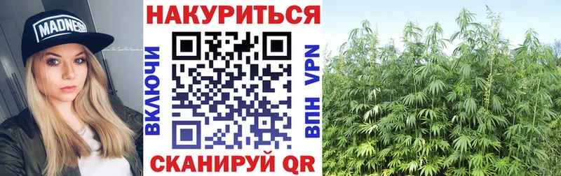 МАРИХУАНА Ganja  Западная Двина 