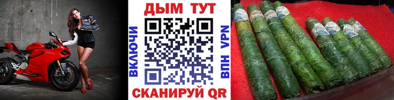 Марихуана гибрид Западная Двина